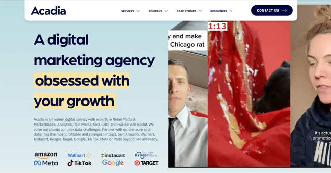 digital marketing website, acadia